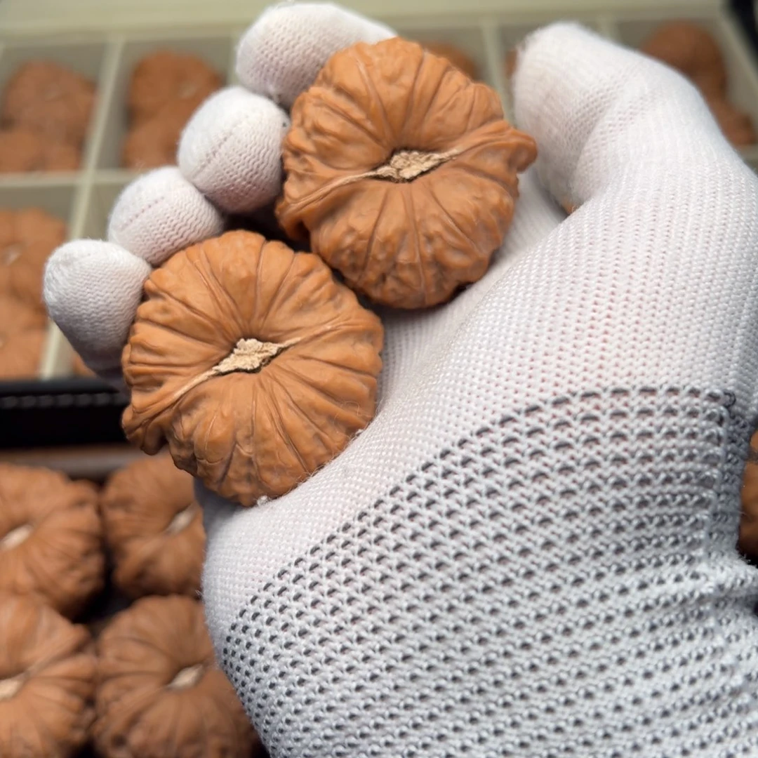 B***k1200南瓜墩文玩核桃 46英文