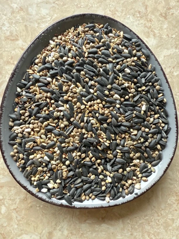 【张张喜推荐】自用自配小太金太/和尚凯克精品鹦鹉粮