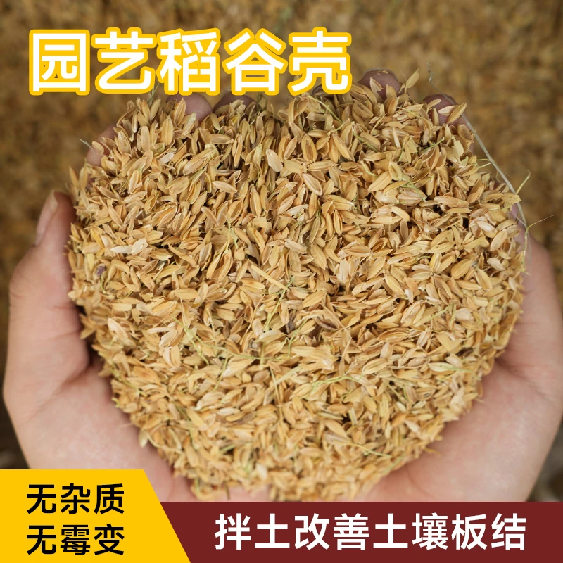 新鲜稻谷壳粗糠壳谷子壳稻糠壳垫料枕头稻壳土壤养花种植农家