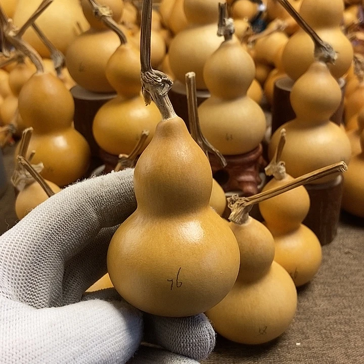 文玩葫芦 完美主义者 慎拍76