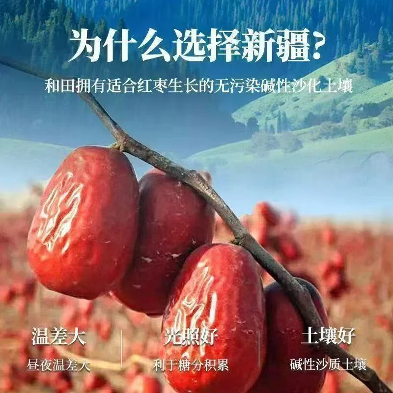 2正宗新疆大枣新疆特产和田枣优质红枣免洗骏枣休闲零食煲汤泡水