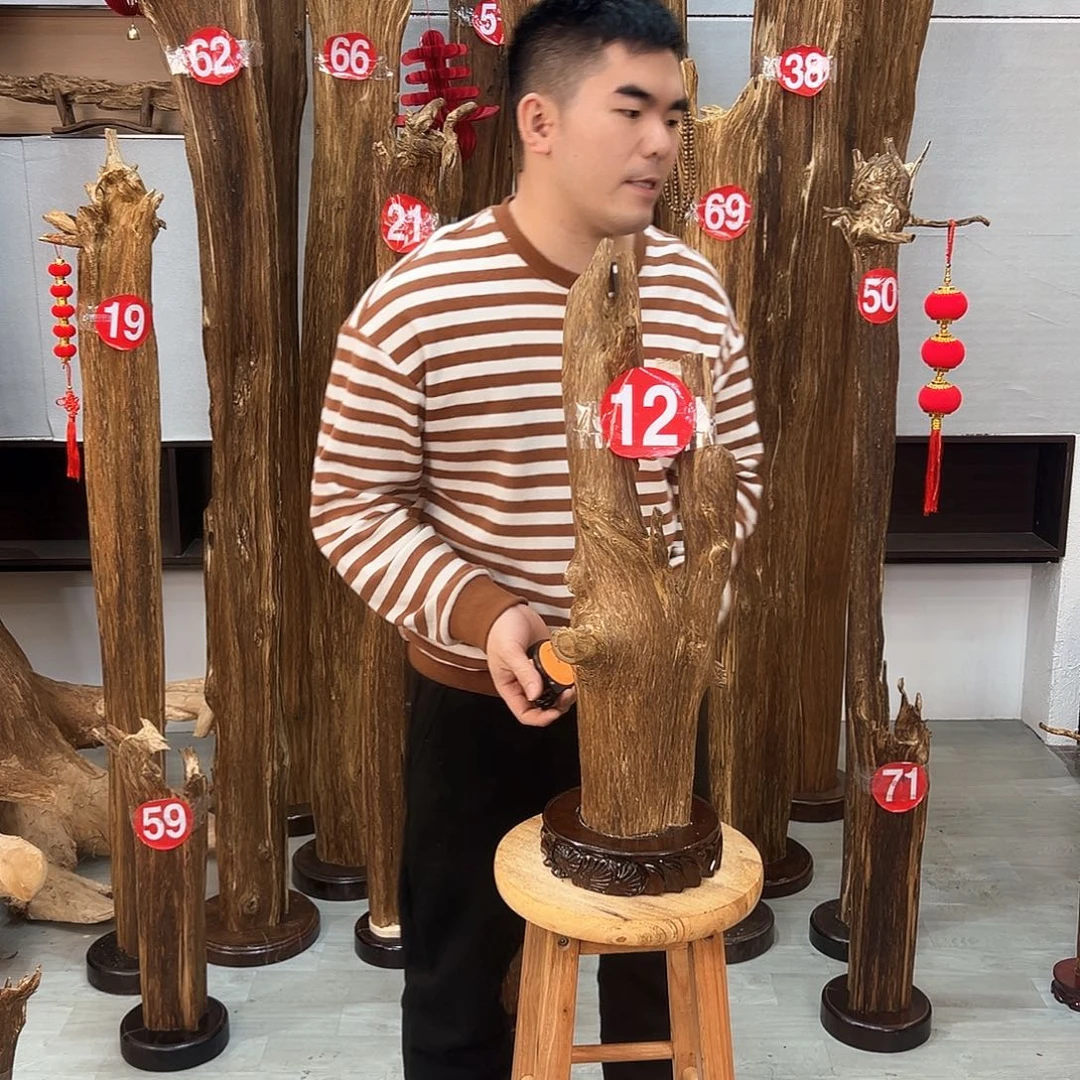 沉香摆件大*亚海南沉香摆件