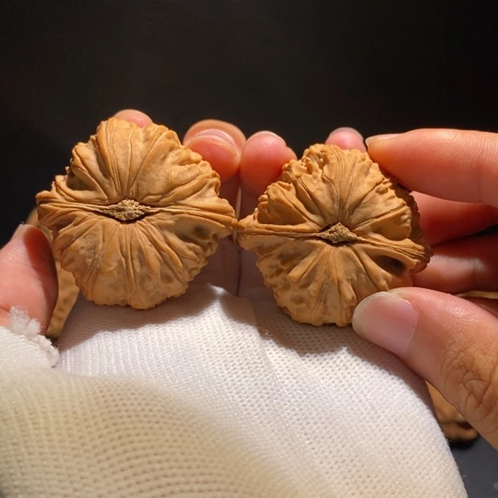 文玩核桃吊坠全品43卡姿兰白狮子