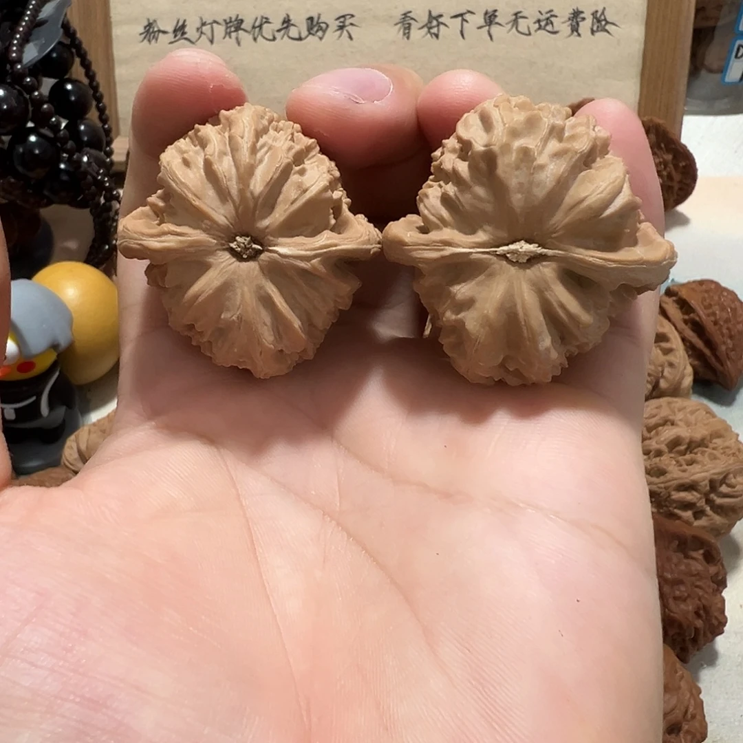 文玩核桃39.5尺三角白