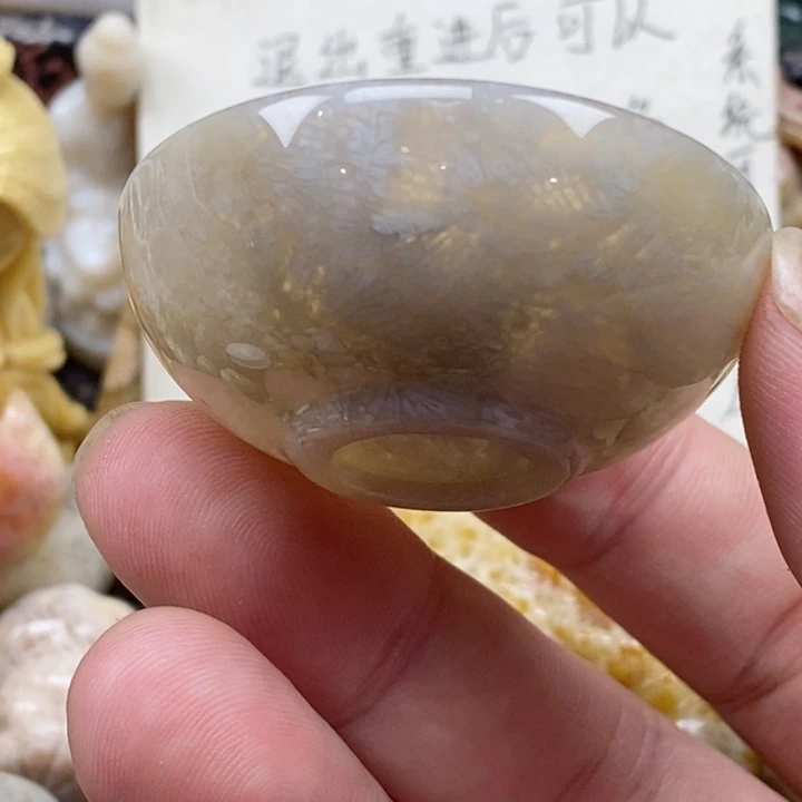 颈饰未镶嵌硅化珊瑚（珊瑚玉）