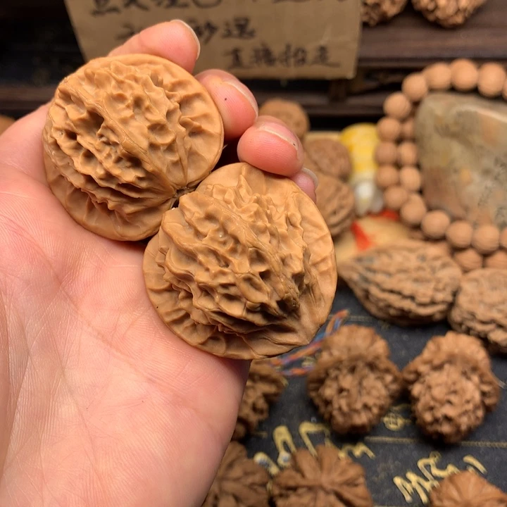 我****、秦岭森林生态环境