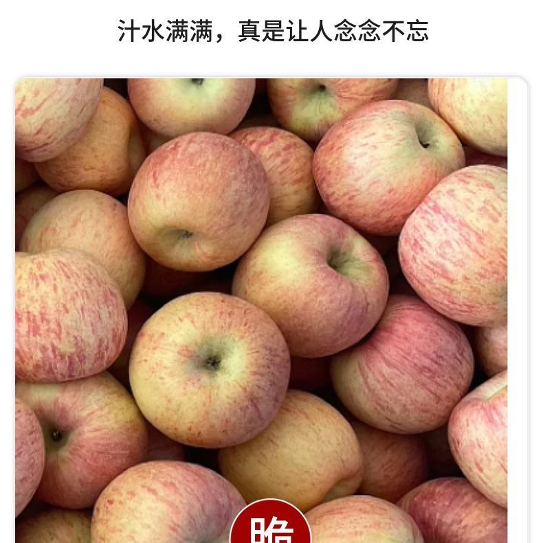（拉拉）新鲜脆甜多汁当季应季苹果