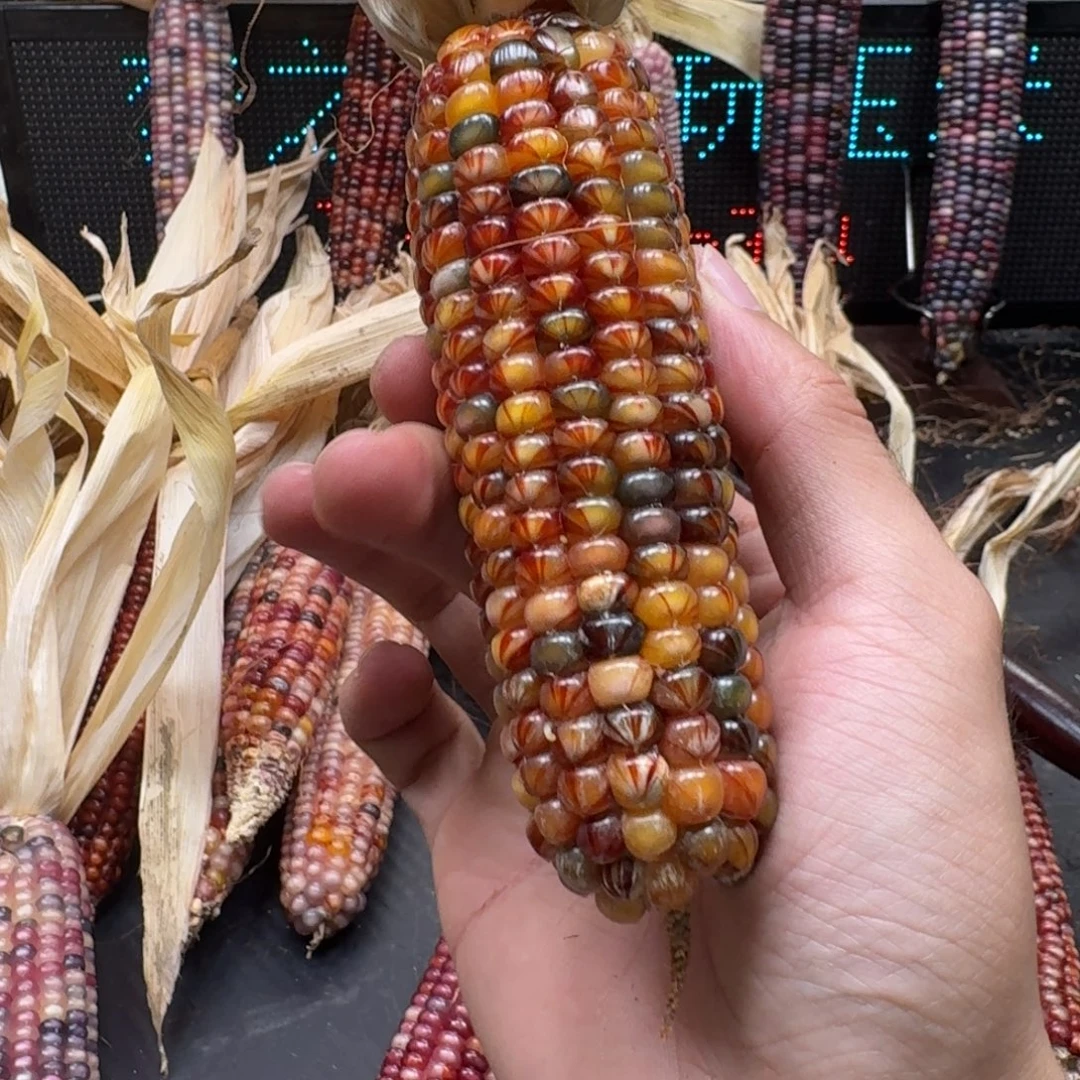 荼***白柏香籽/百香籽吊坠