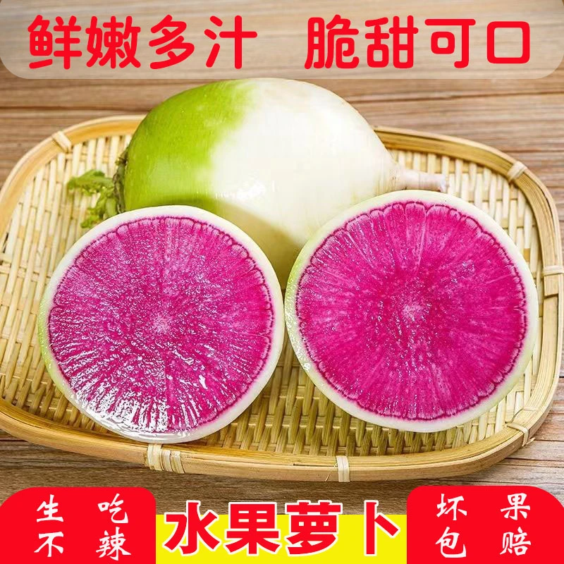 新种红心水果萝卜青皮红心生吃脆甜不辣心里美萝卜凉拌乡村农产品
