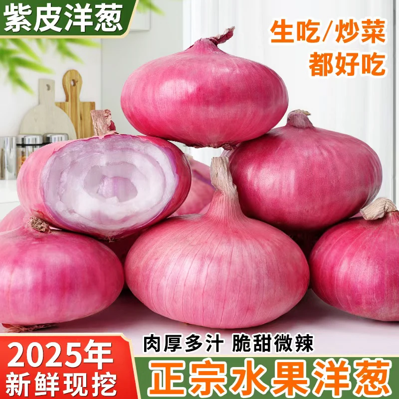 生吃脆甜扁平水果洋葱肉厚新鲜紫皮圆葱头3斤5斤蔬菜便宜洋葱苗