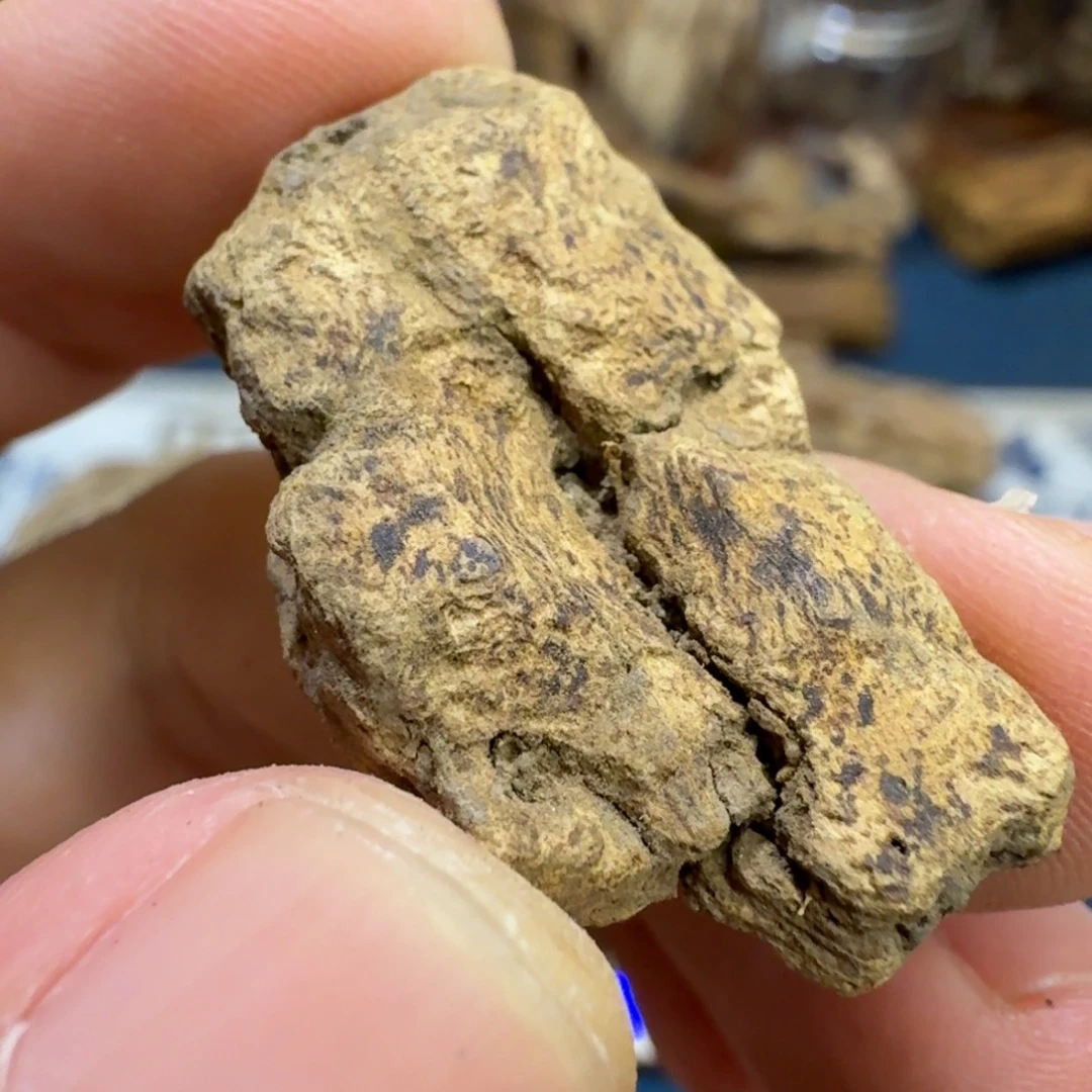 沉香兰卡红土虎斑