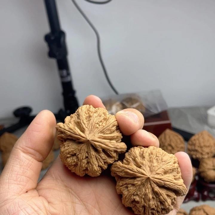 文玩核桃吊坠流*大粗筋