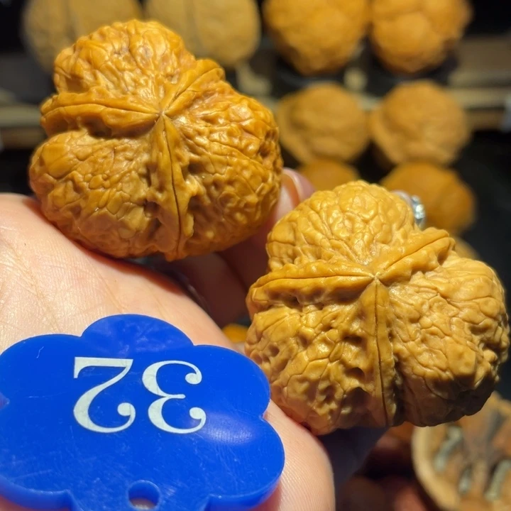 无***王老树黄金三棱尺寸41