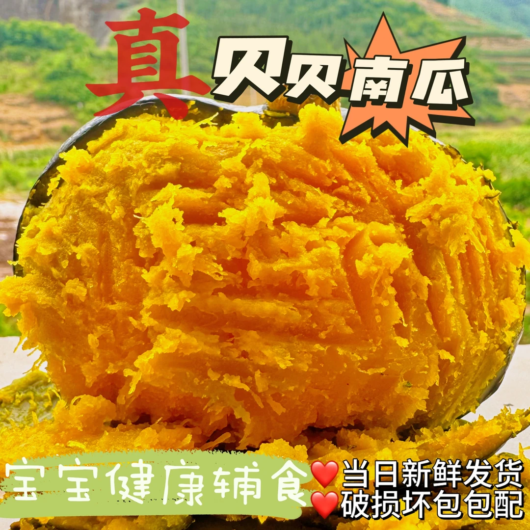 T8【新鲜采摘】正宗贝贝南瓜3斤装粉糯香甜辅食水瓜包赔多仓发货