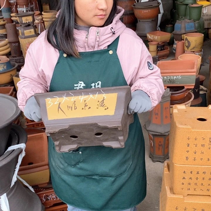 紫砂花盆盆栽花卉苗木种植