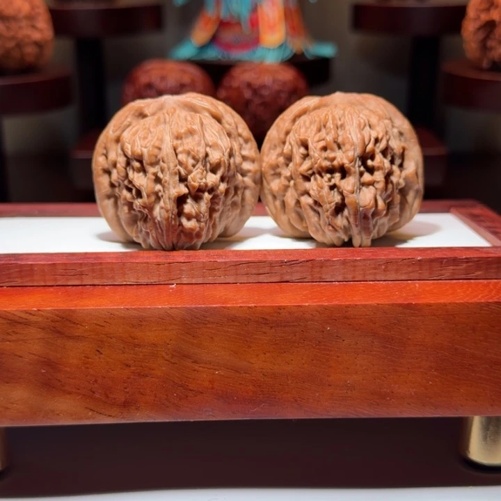 原生态平谷山地楼尺寸41骨质好红皮