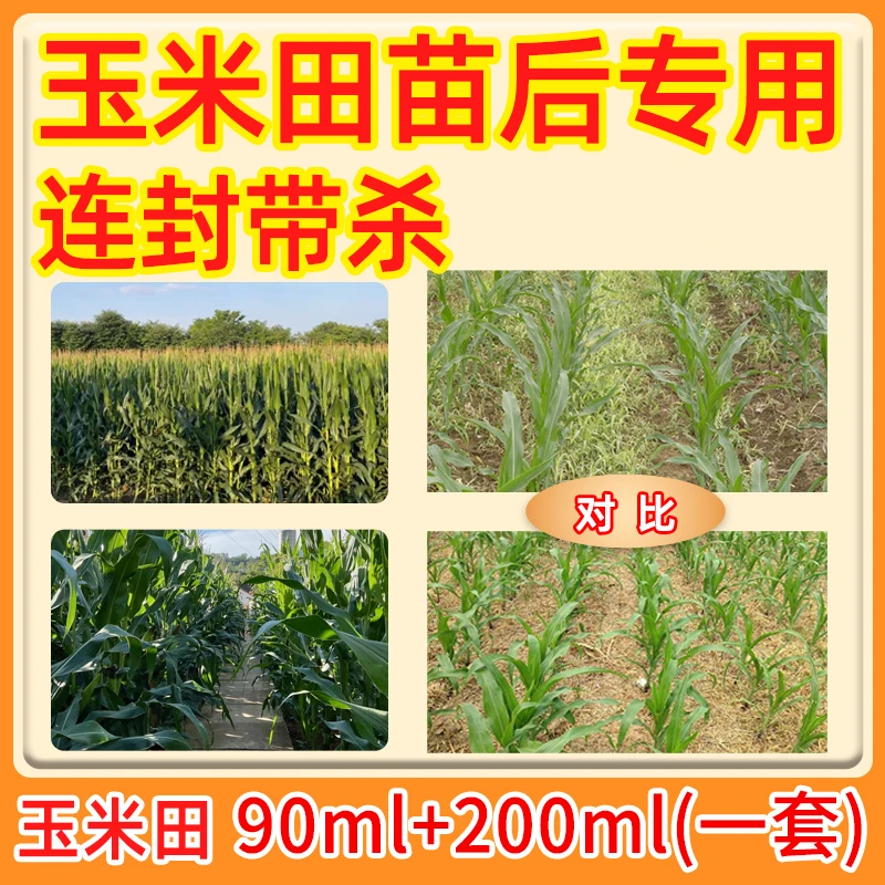 玉米田苗后草专用 安全不反弹全田喷雾 玉米专用叶面肥