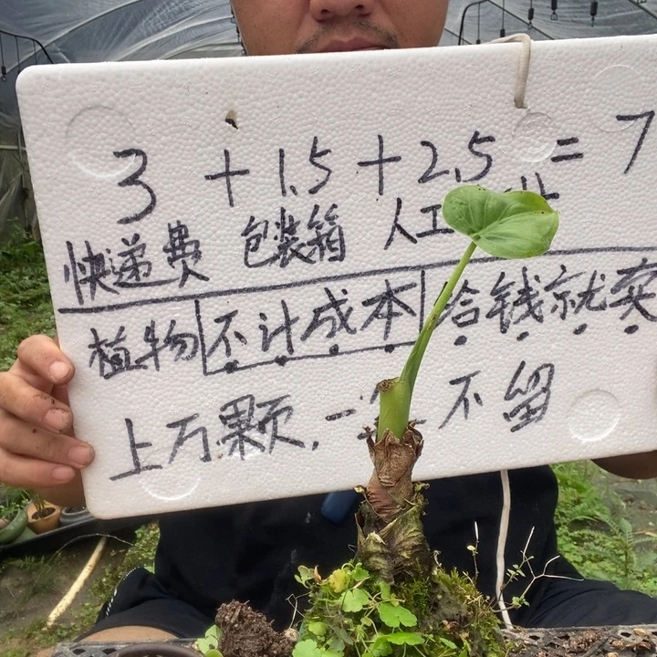 退款拉黑一物一拍423