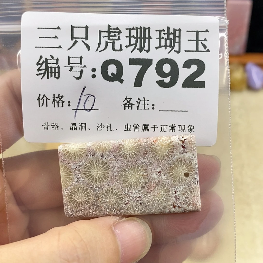 硅化珊瑚（珊瑚玉）1未镶嵌石*道