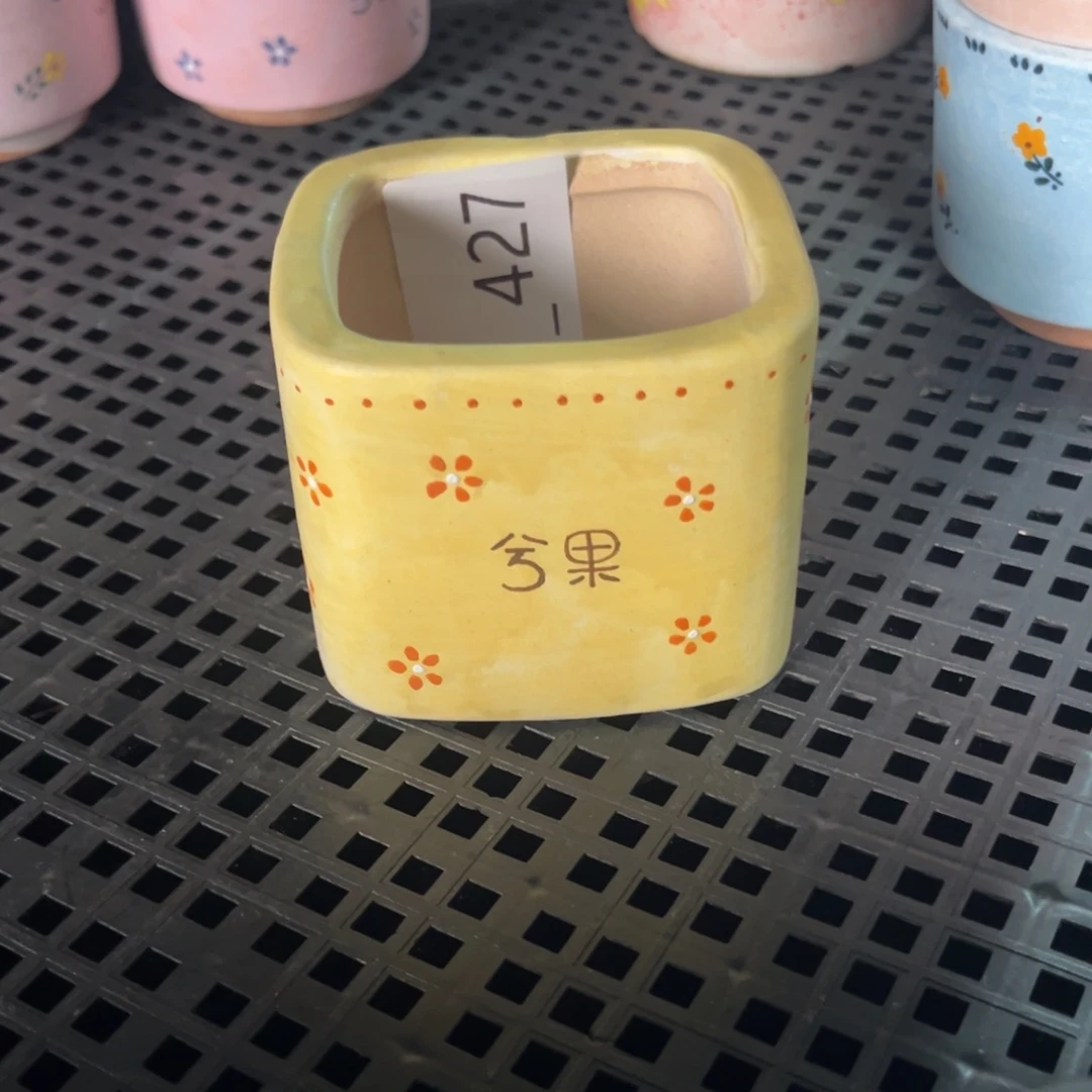 亮***_427多肉花盆   1个