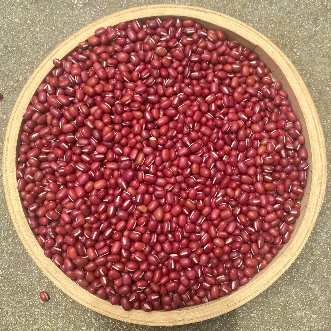 高山 土货 红 豆