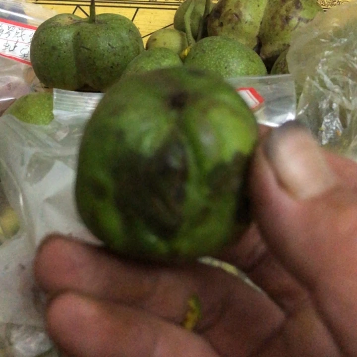 鲜****u文玩核桃蛙蛙异形