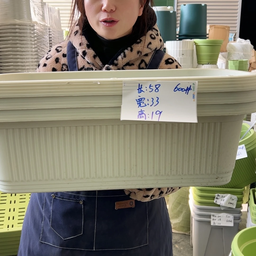 菜盆600#米白3个无托