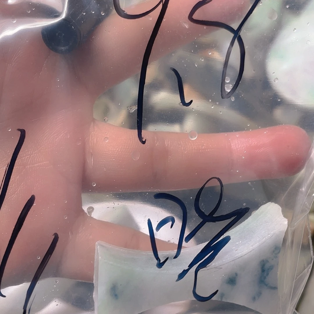 颈饰未镶嵌翡翠a