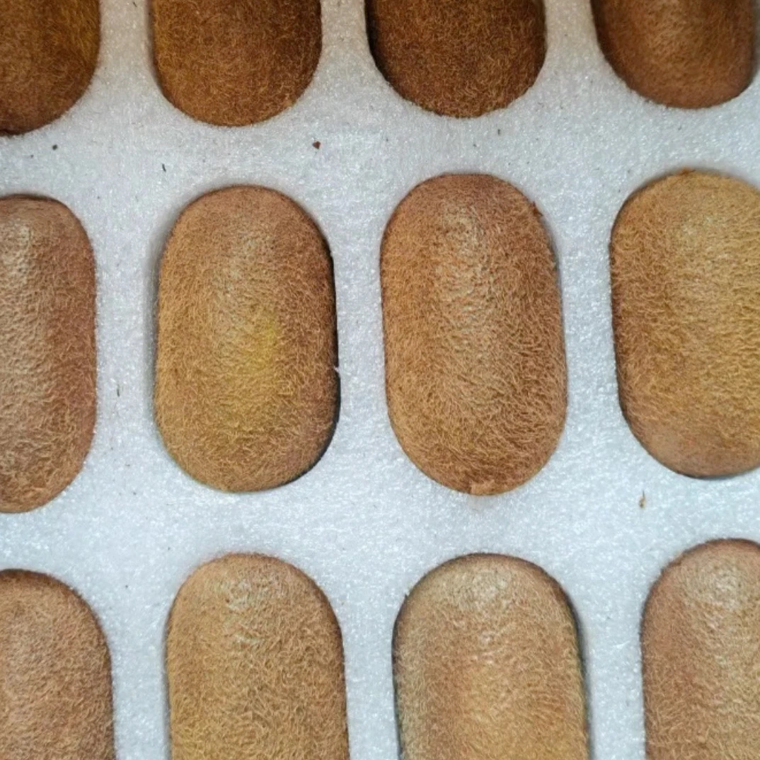 正宗修文特产贵长猕猴桃绿心奇异果现摘新鲜水果可口多汁12枚包邮