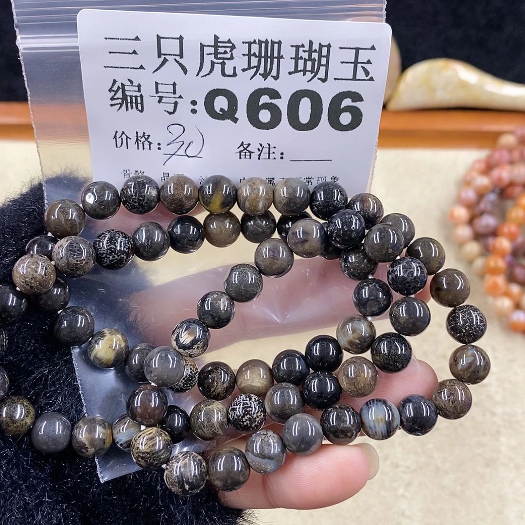 硅化珊瑚（珊瑚玉）1未镶嵌小****?