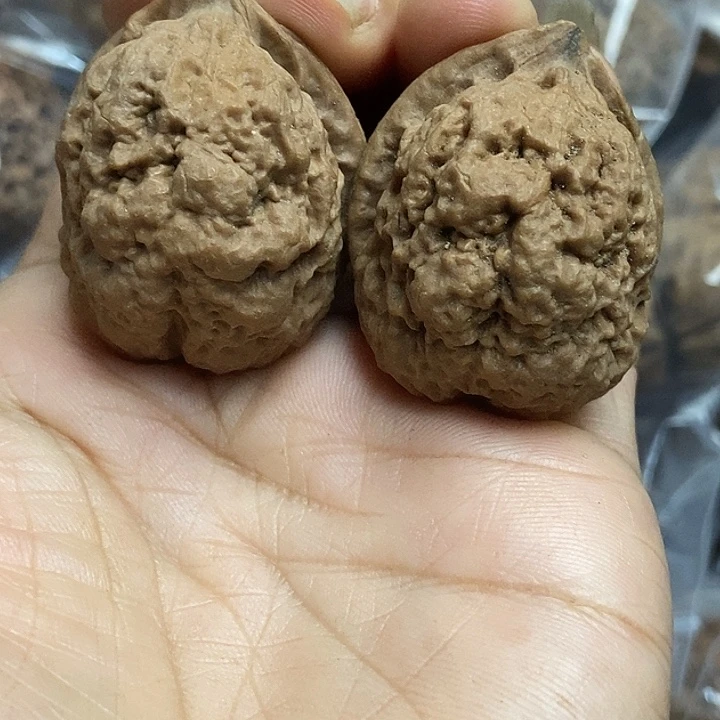 文玩核桃把件云南铁核桃基地2