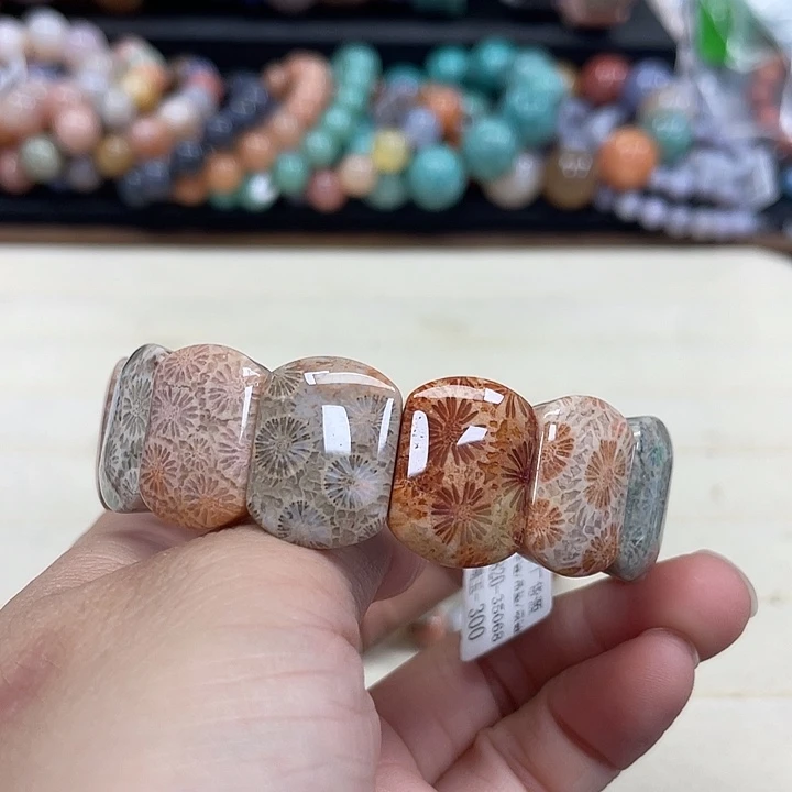 未镶嵌手串硅化珊瑚（珊瑚玉）精***慧822