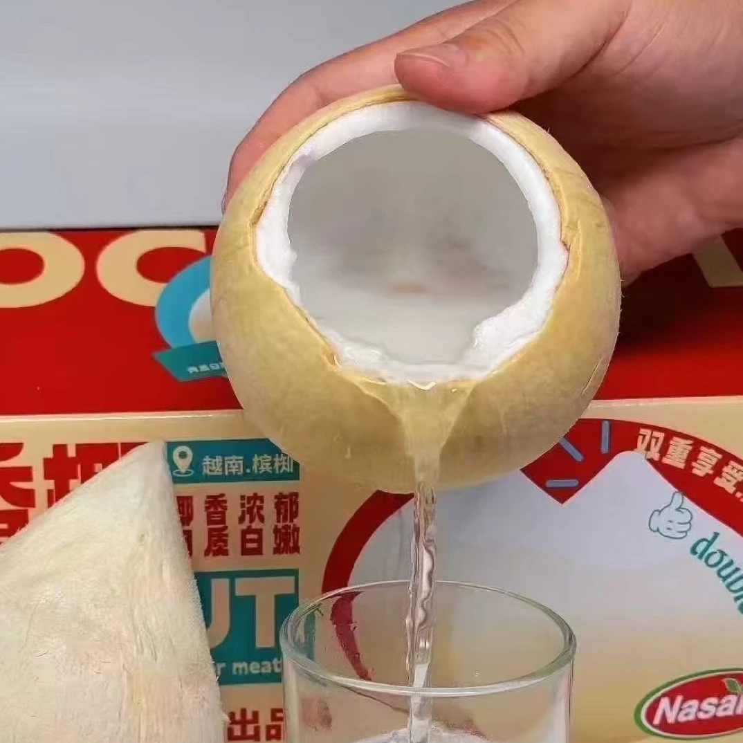 果切泰国奶香椰子水