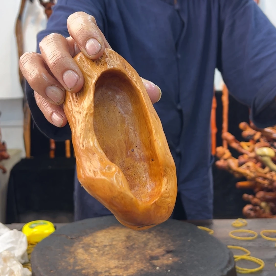 白***活黑果木其他黑果木997