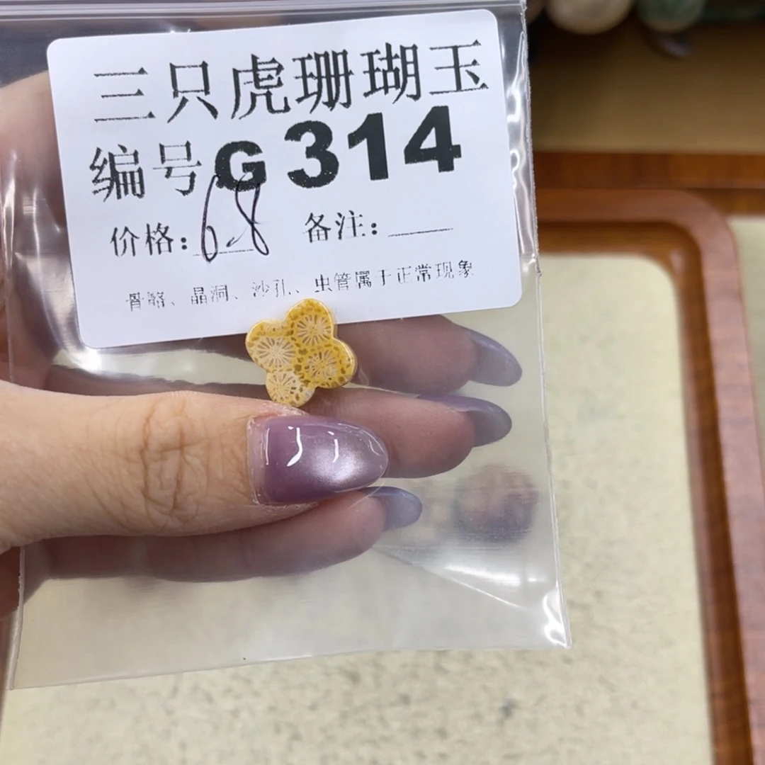 小***鱼未镶嵌h硅化珊瑚（珊瑚玉）