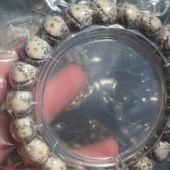 星月菩提手串海南原生态10/11骨瓷白大眼睛