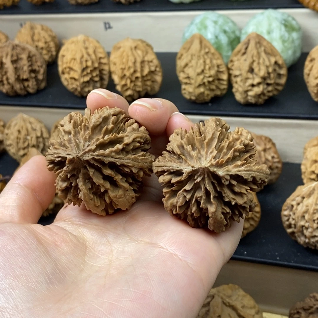 文玩核桃把件霸王花42