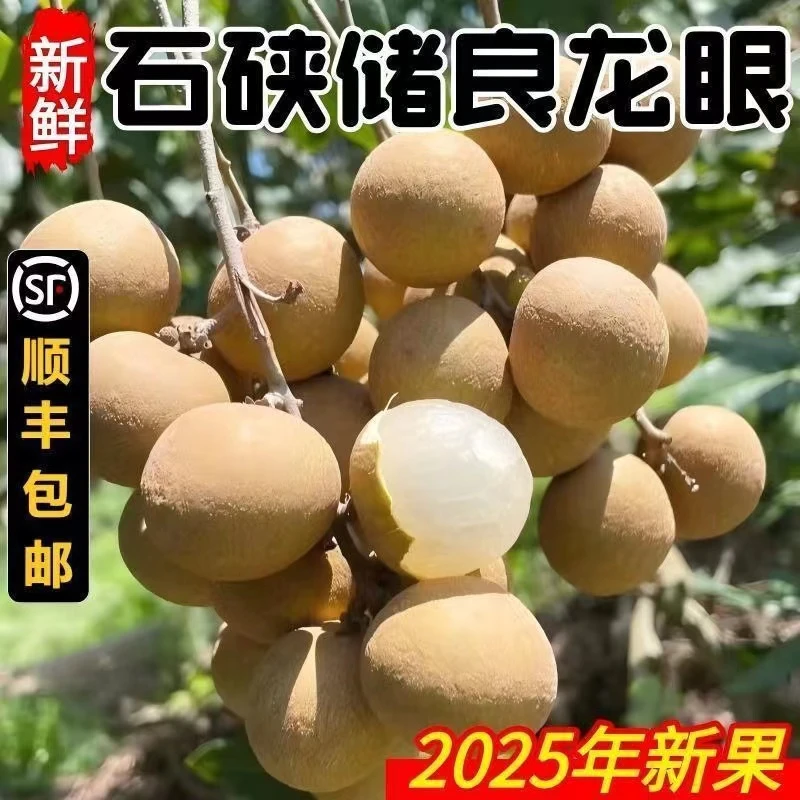 【顺丰冷链】 广东龙眼新鲜石硖鲜果当季新鲜爆甜桂圆一整箱-