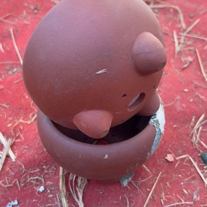 红陶紫砂碗盆口12