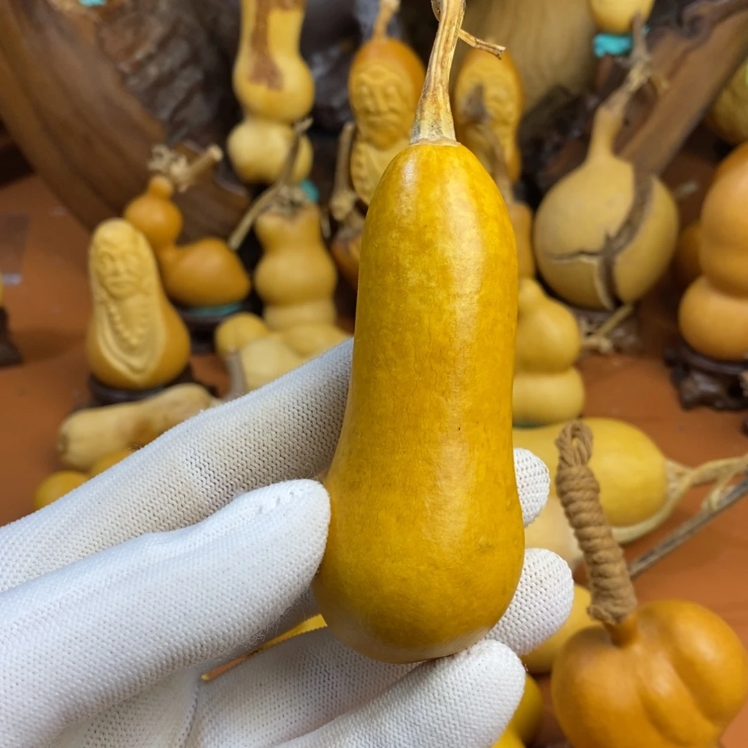 看***雨阿哭教练咯教练教练咯