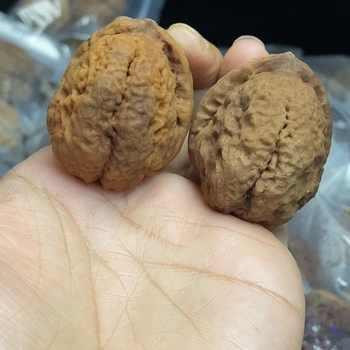 木质类云南铁核桃基地37