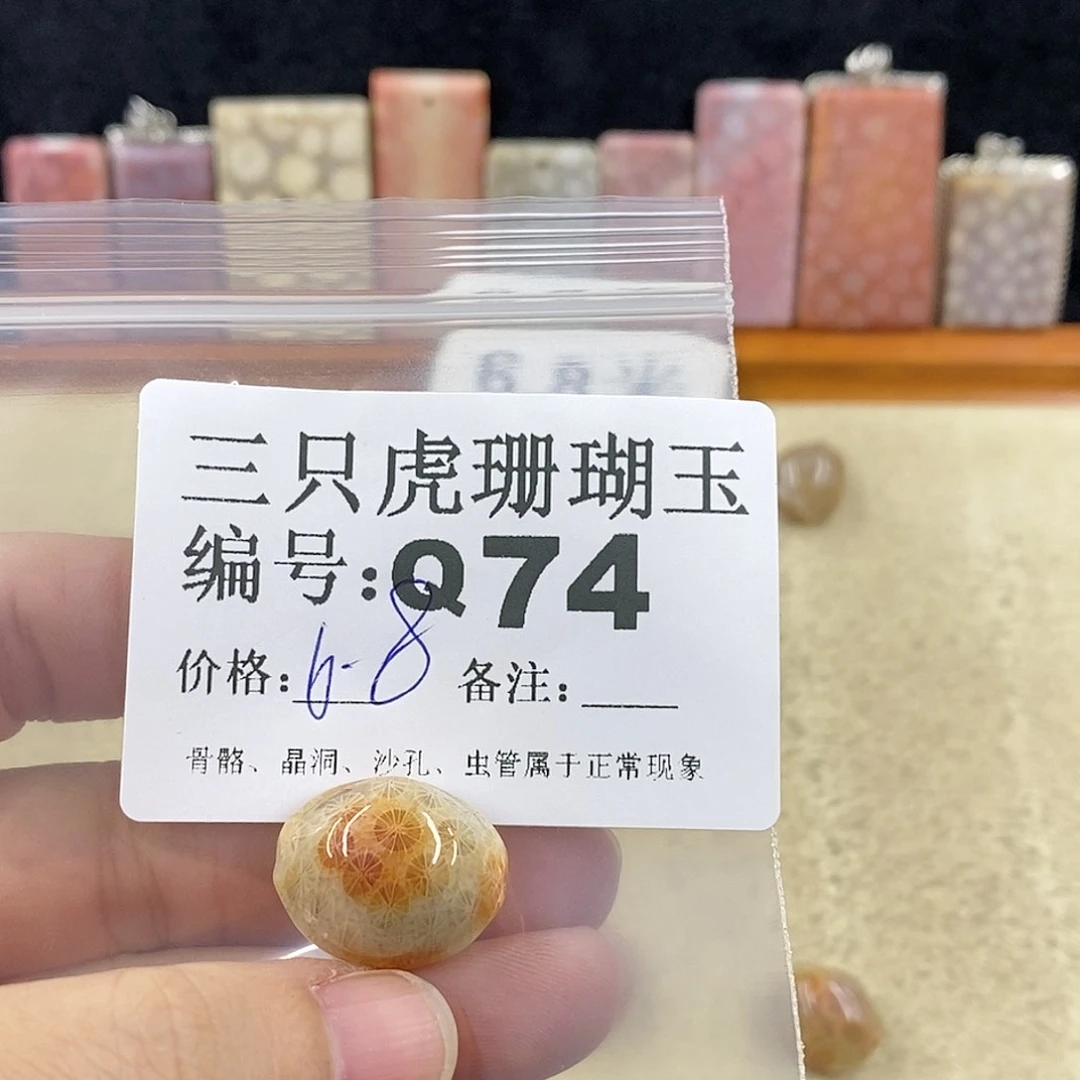 硅化珊瑚（珊瑚玉）1未镶嵌?****。