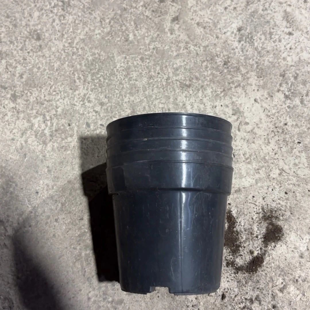 黑色养殖盆120口径发60个