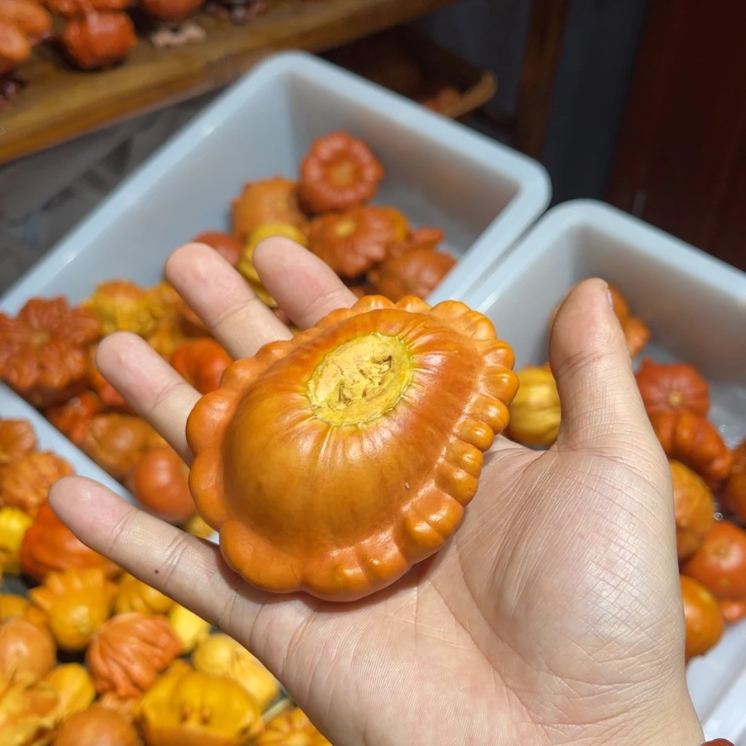 四****t哈喽哈喽哈喽哈喽哈喽哈喽哈喽哈喽葫芦