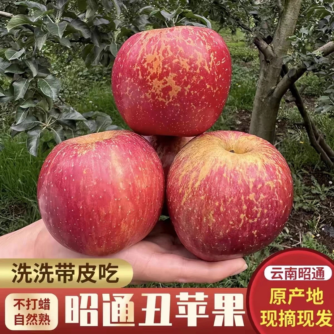 正宗云南昭通丑苹果新鲜采摘脆甜水果冰糖心昭通苹果包邮