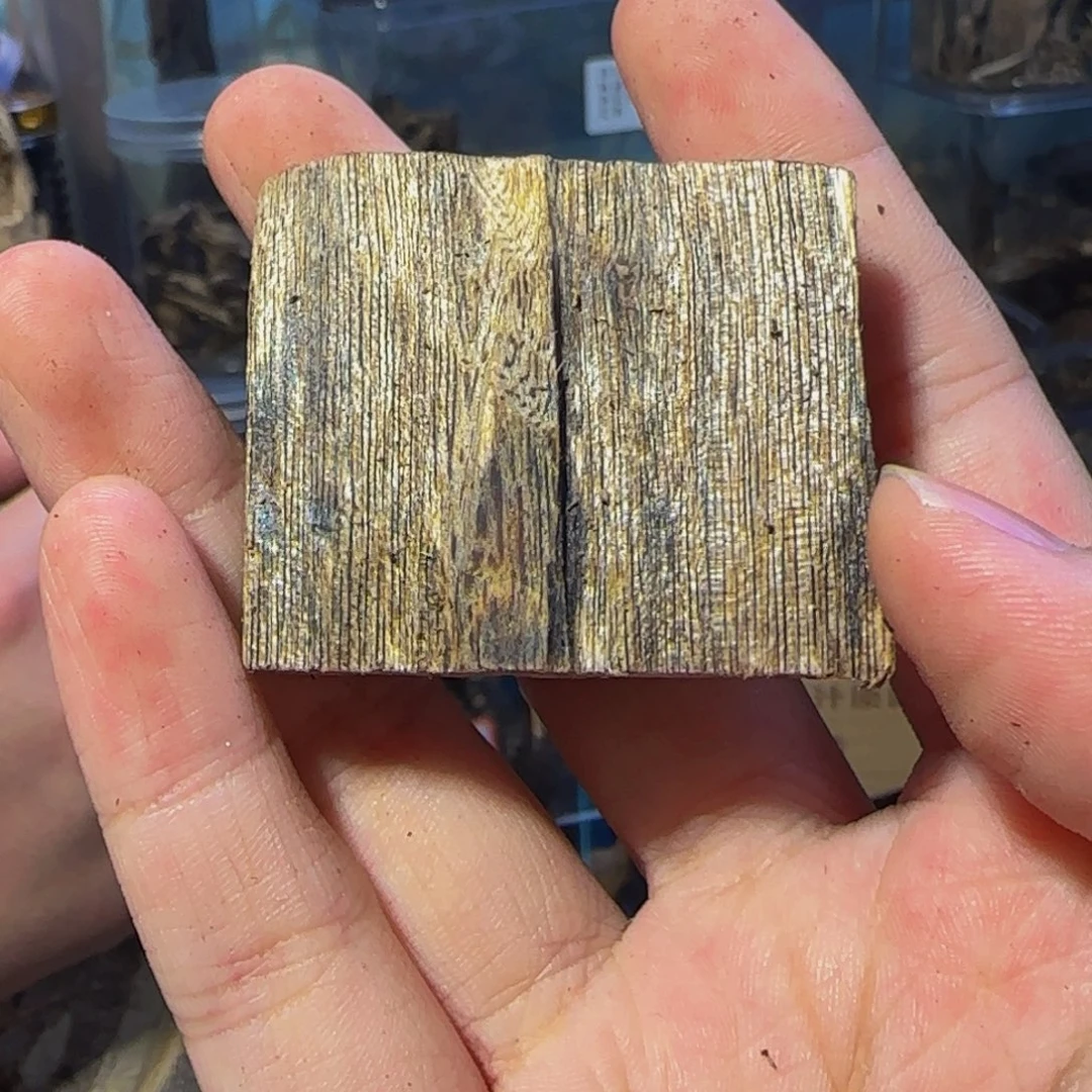 沉香碎屑沉香虫漏福利38