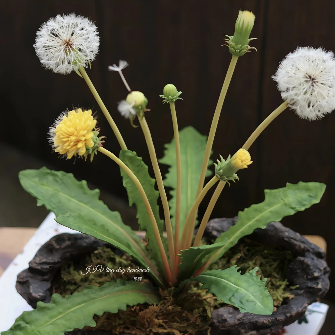 （非成品）树脂粘土手工“蒲公英”（非成品）