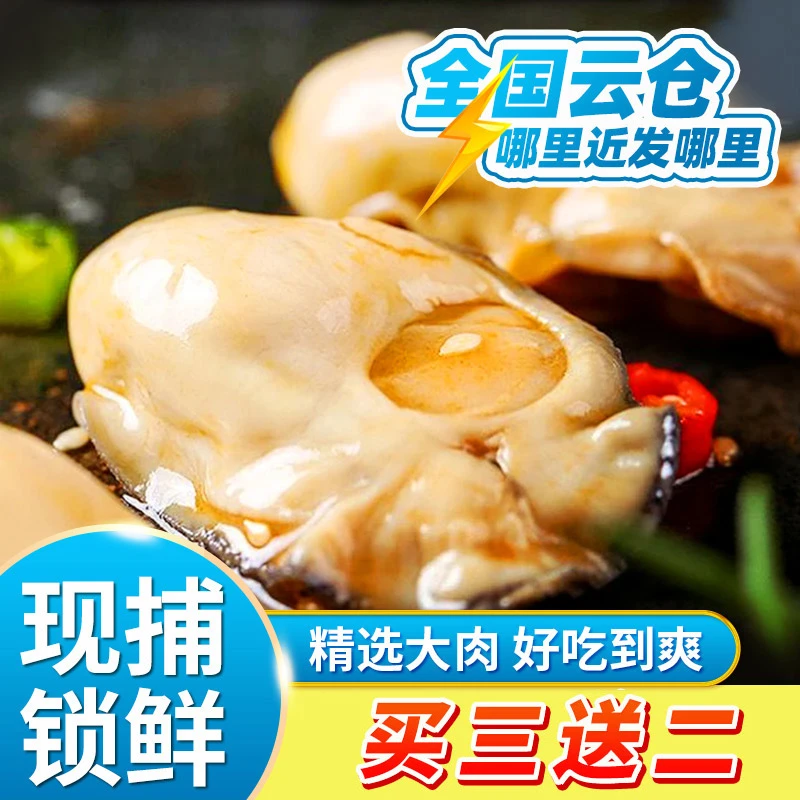 【蚝王试吃福利装】即食生蚝活蚝现取小海鲜蒜蓉生蚝蒜香麻辣蚝肉1
