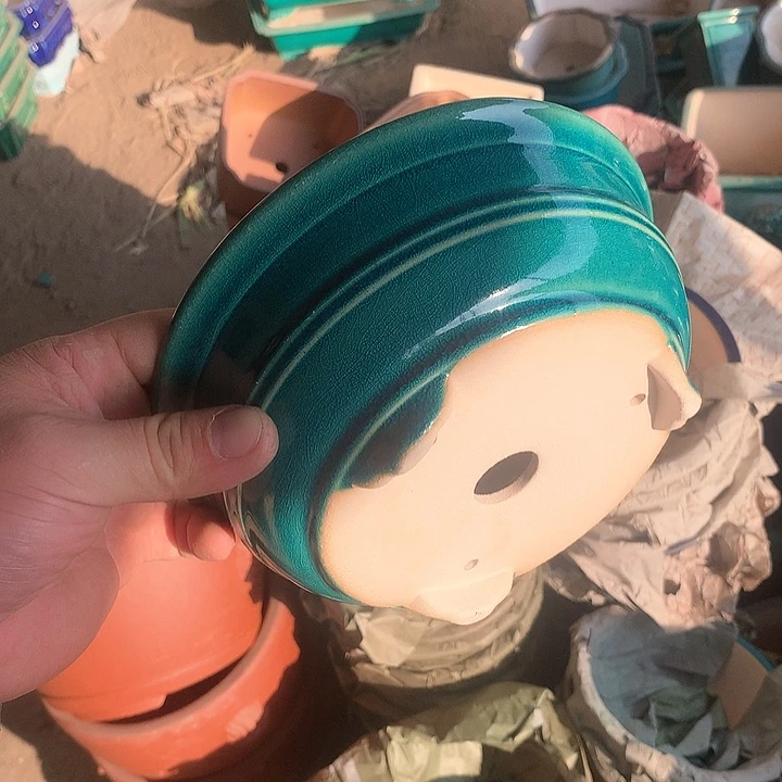 紫砂优秀青年科技人才创新人才