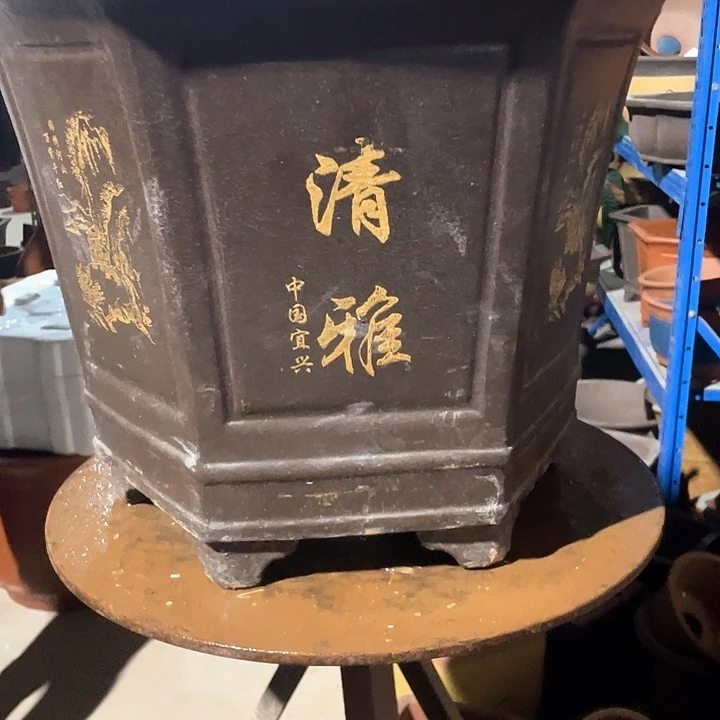 黑色清雅六方大号花盆